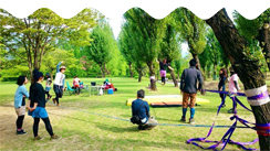 スラックラインを体験しよう