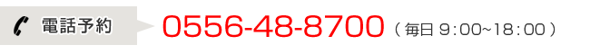 電話予約0556-48-8700